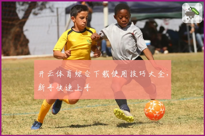 开云体育综合下载使用技巧大全，新手快速上手